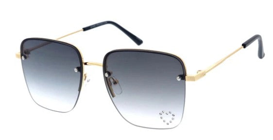 068 - Incognito Sunglasses